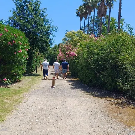 Apartment Entre Piscine, Et Farniente En Famille