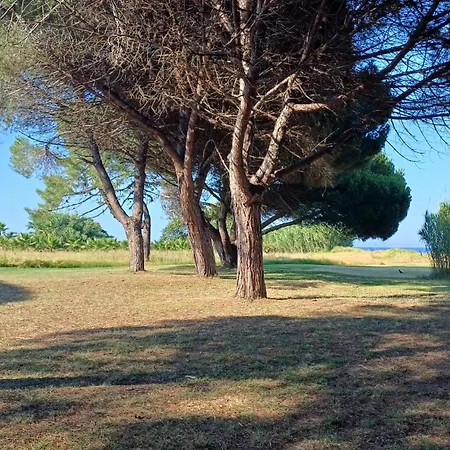 Apartment Entre Piscine, Et Farniente En Famille Poggio Mezzana